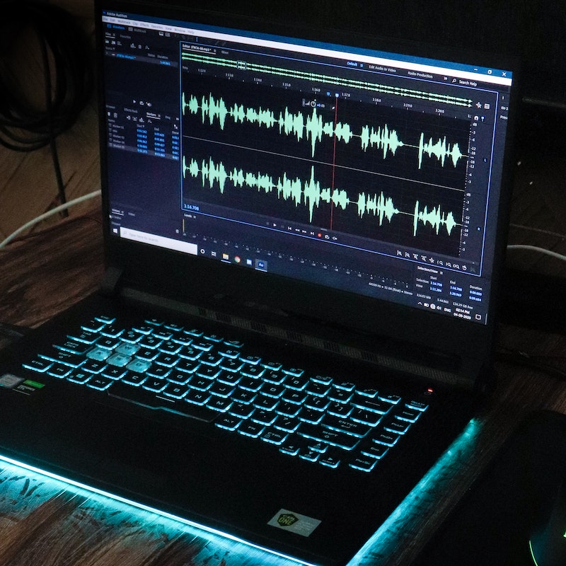 Pantalla de computador reproduce editor de sonido y muestra frecuencias de sonidos