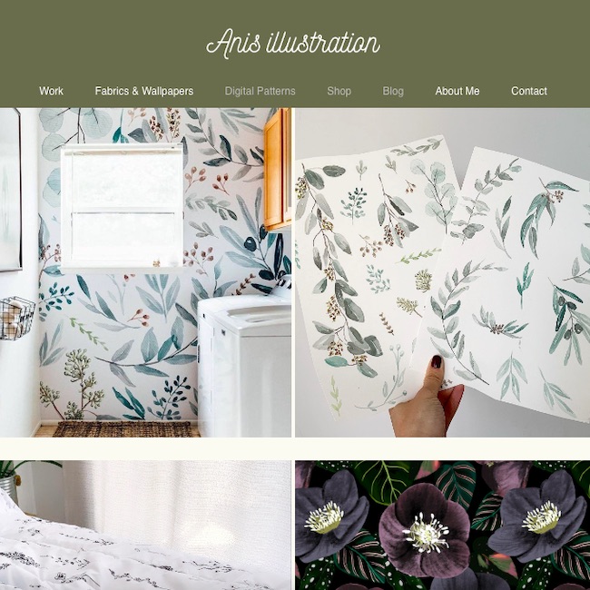 Captura de pantalla de la página web de Anis en la que se ofrecen sus productos